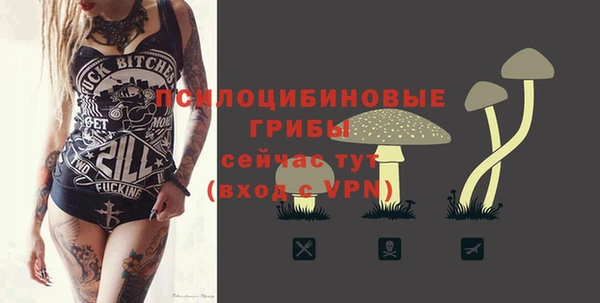 не бодяженный Кукмор