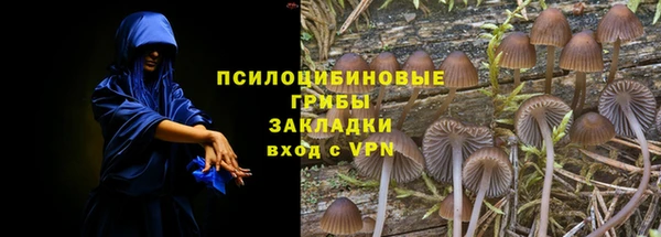 не бодяженный Кукмор