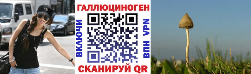 Псилоцибиновые грибы Cubensis  Купить где  Чердынь 